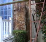 after stucco removal